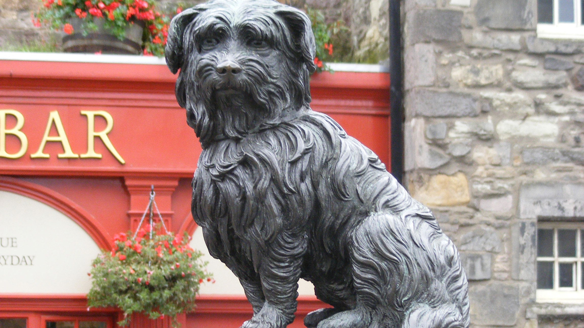 Hundestatue vor schottischer Bar