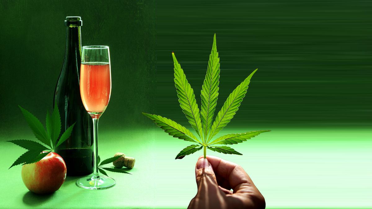 Weingebinde auf Tisch, davor hält eine Hand ein Cannabisblatt ins Bild