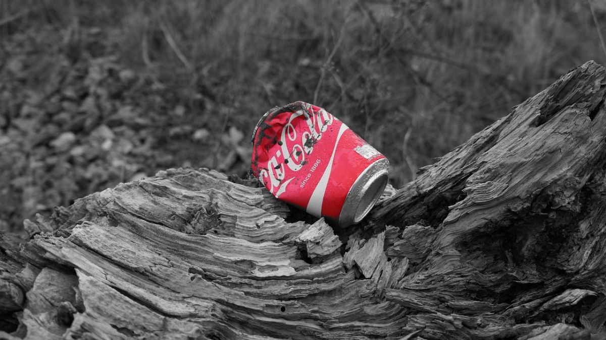 Rote zerbeulte Coca-Cola-Dose auf schwarz-weißem Baumstumpf