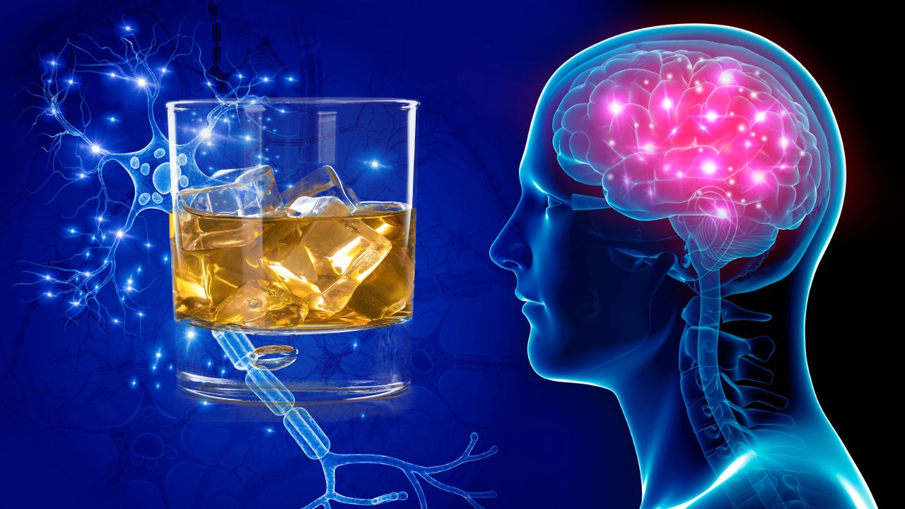 Schematische Zeichnung eines Gehirns im menschlichen Körper. Davor eingeblendet ein Glas mit einem alkoholischen Getränk.