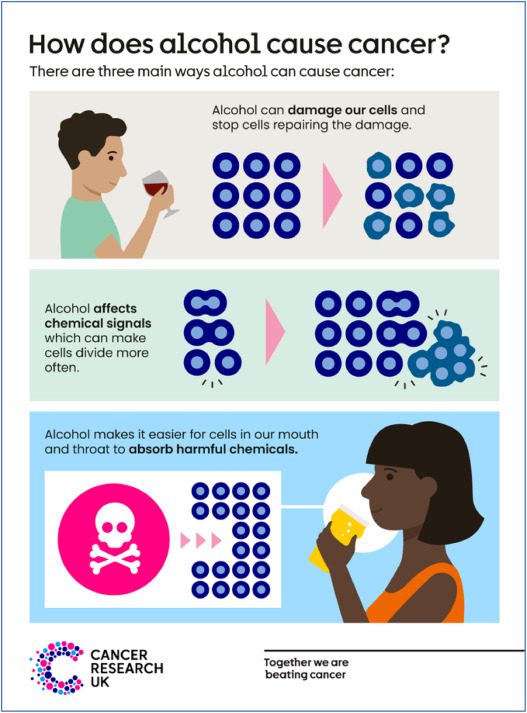 Infografik der unabhängigen Wohltätigkeitsorganisation Cancer Research UK zu Alkohol und Krebs