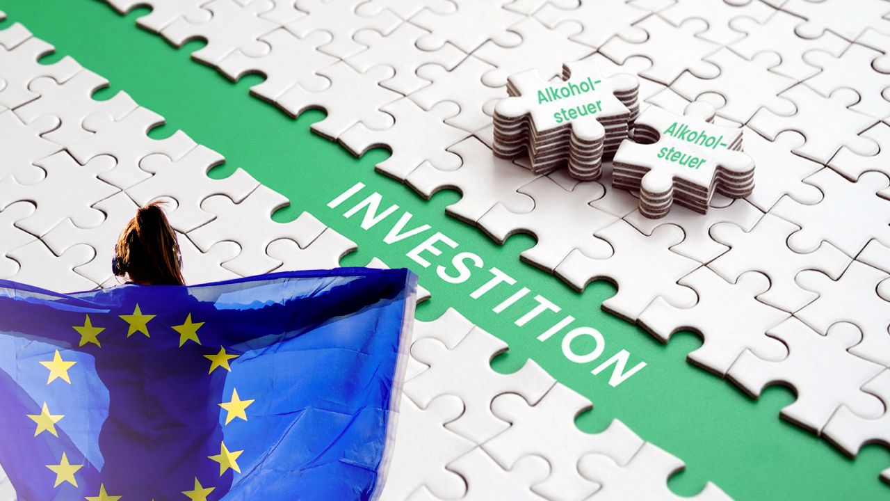 Eine Person, umhüllt von einer großen EU-Flagge, steht auf einem Puzzle-Hintergrund. Grüne Puzzleteile formen das Wort 'INVESTITION', während gestapelte weiße Puzzleteile mit 'Alkoholsteuer' beschriftet sind.