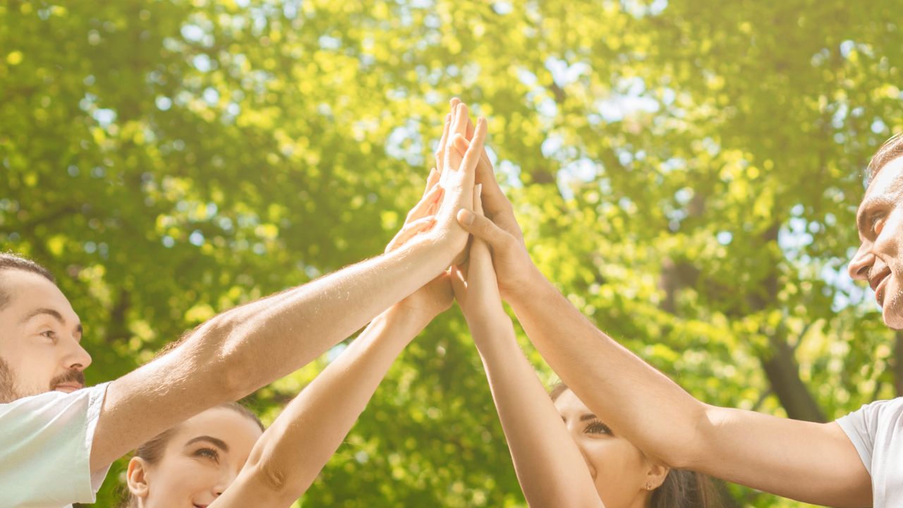 Vier lachende Menschen – zwei Männer und zwei Frauen – geben sich in einem sonnigen Park freudig High-Five, umgeben von grünen Bäumen.