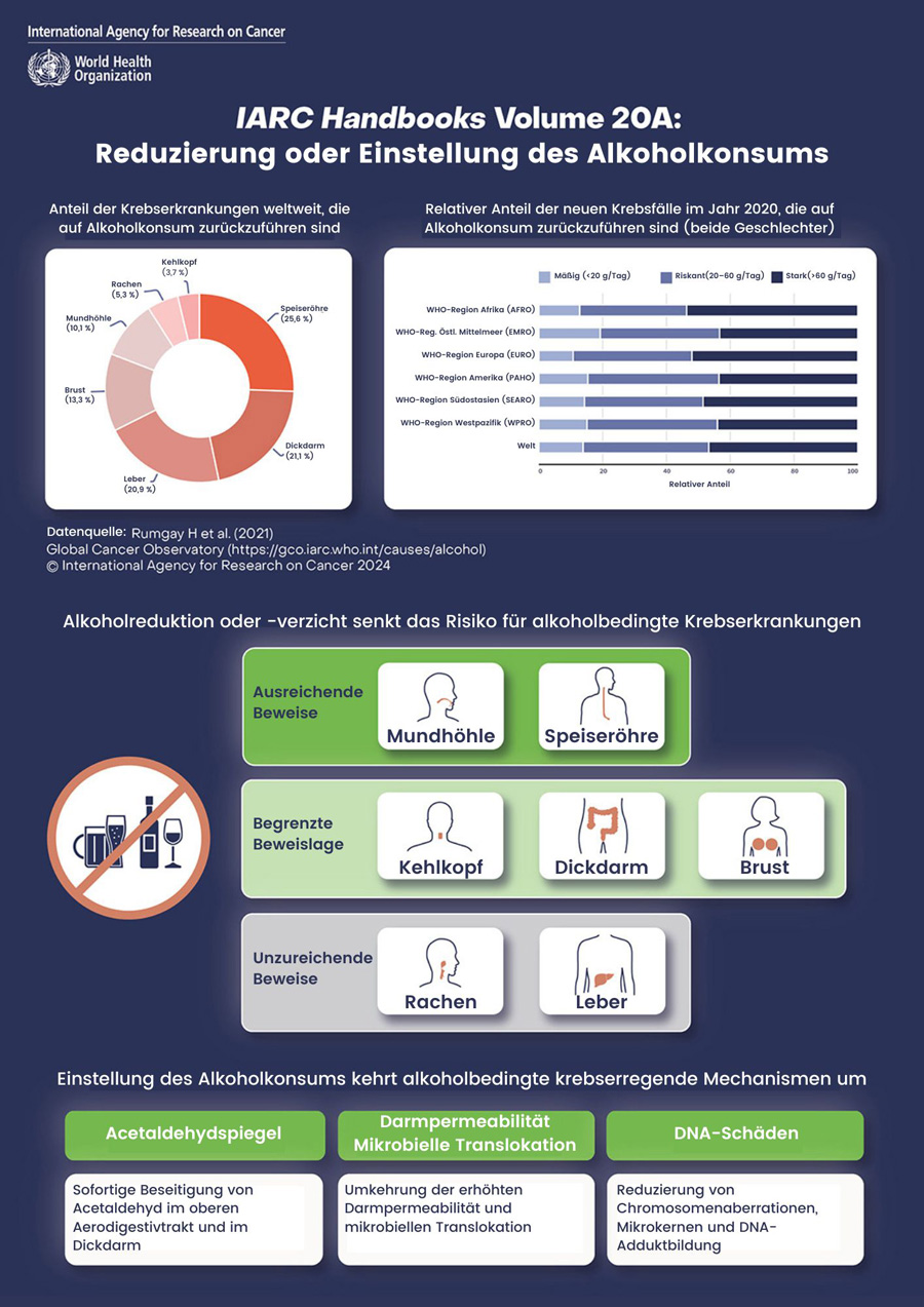Infografik der Weltgesundheitsorganisation (WHO) und der Internationalen Agentur für Krebsforschung (IARC) zum Thema 'Reduzierung oder Einstellung des Alkoholkonsums' (IARC Handbuch Band 20A). Links zeigt ein Kreisdiagramm den weltweiten Anteil alkoholbedingter Krebserkrankungen nach Organtypen, rechts ein Balkendiagramm den relativen Anteil neuer Krebsfälle 2020 nach WHO-Regionen. Darunter folgt eine Übersicht zur Evidenzlage für verschiedene Krebsarten – ausreichend (Mundhöhle, Speiseröhre), begrenzt (Kehlkopf, Dickdarm, Brust), unzureichend (Rachen, Leber). Darunter folgt eine Erklärung der biologischen Mechanismen (Acetaldehydspiegel, Darmpermeabilität, DNA-Schäden), die bei Alkoholverzicht umgekehrt werden können. Quelle: Global Cancer Observatory 2021.