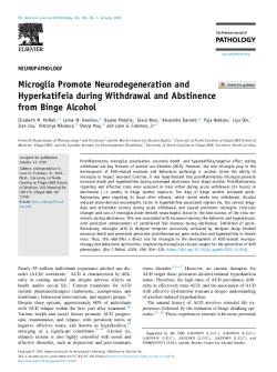 Microglia-Promote-Neurodegeneration-and-Hyperkatifeia-during-Withdrawal-and-Abstinence-from-Binge-Alcohol
